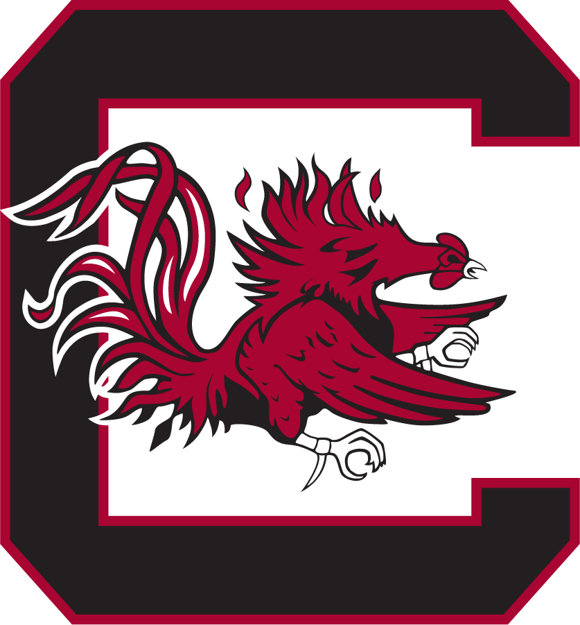 South Carolina Gamecocks 1975-1983 Alternate Logo diy DTF decal sticker